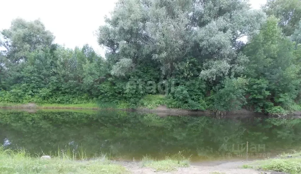 Участок в Волгоградская область, Среднеахтубинский район, Красное ... - Фото 1