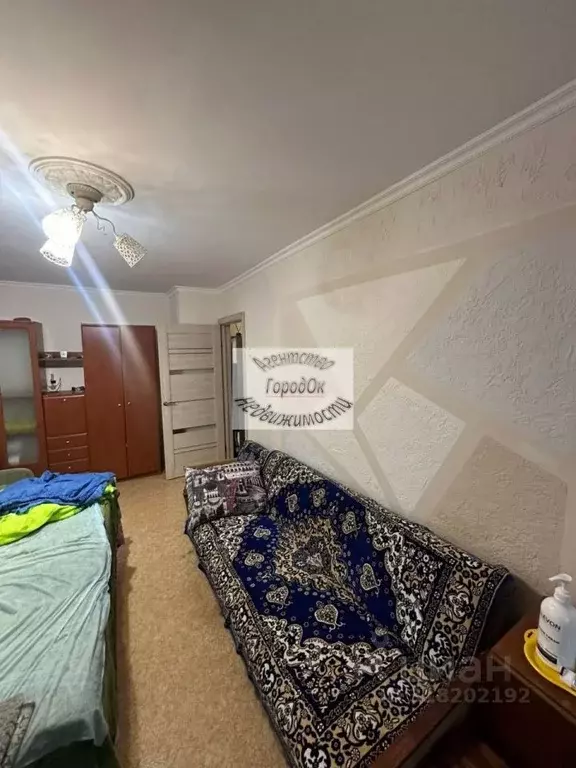 1-к кв. Крым, Саки ул. Курортная, 59 (30.3 м) - Фото 0