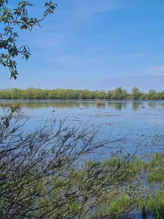 Участок в Новгородская область, Новгородский район, Савинское с/пос, ... - Фото 0