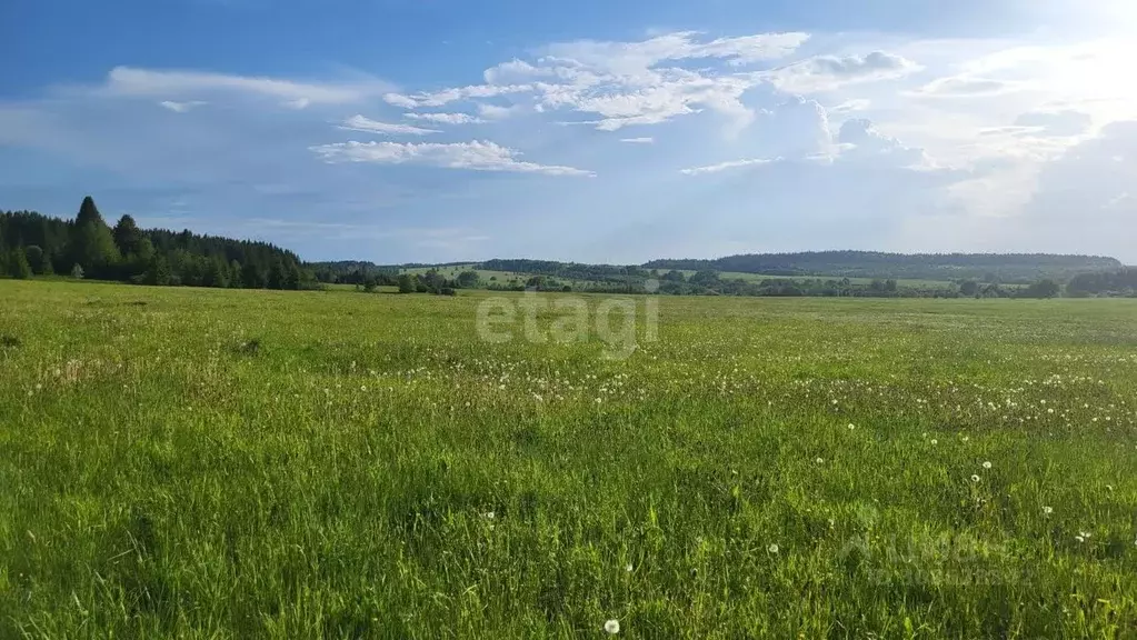 Участок в Пермский край, пос. Красный Восход ул. Заповедная, 1 (20.0 ... - Фото 1