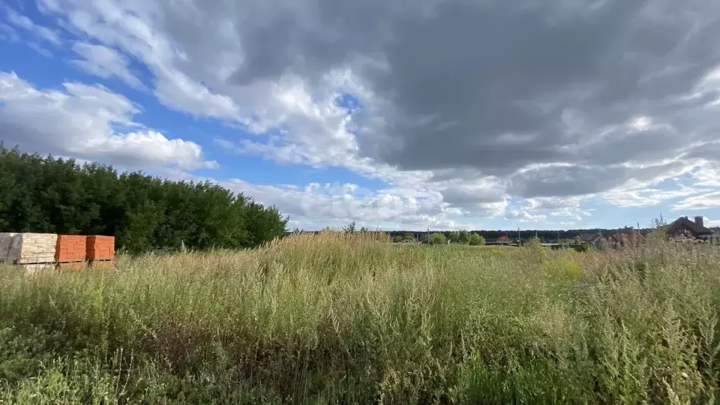 Участок в Мордовия, Саранск городской округ, Николаевка рп ул. ... - Фото 1