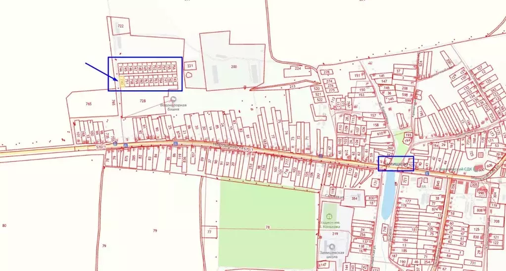Участок в Брянская область, Новозыбковский городской округ, с. ... - Фото 0