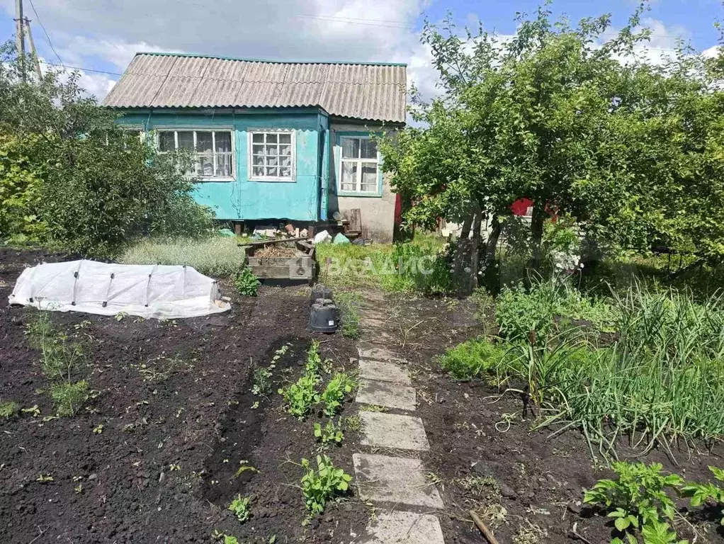 Купить Дачу В Снт Ромашка Пенза Побочино