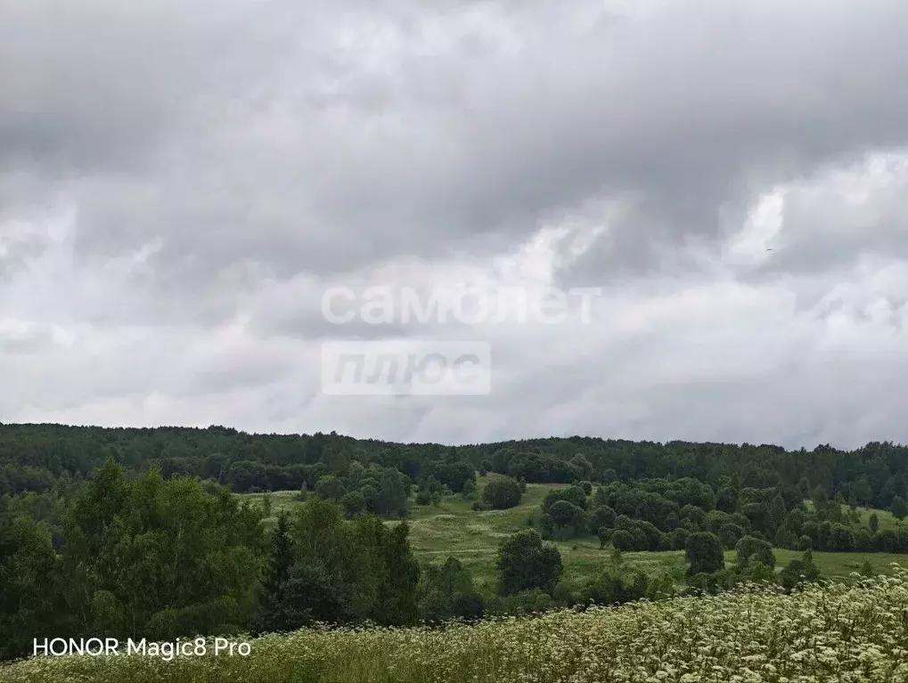 Участок в Калужская область, Калуга городской округ, д. Уварово ул. ... - Фото 1