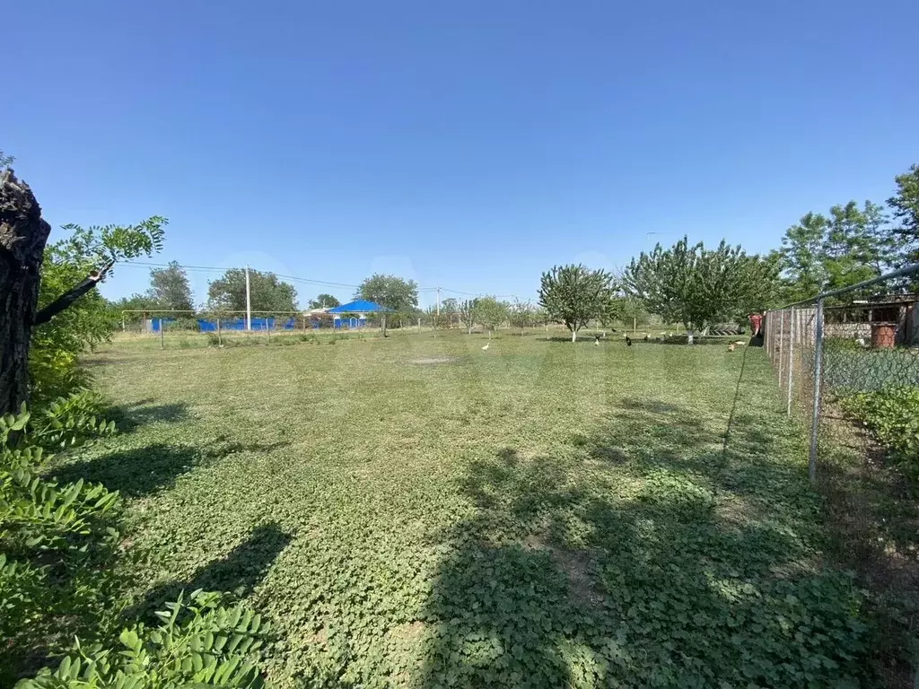 Участок 8,6 сот. (личное подсобное хозяйство (лпх)) - Фото 1