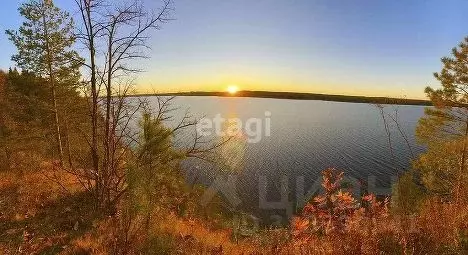 Участок в Пермский край, Добрянский городской округ, д. Залесная ул. ... - Фото 1