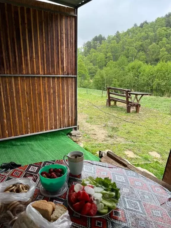 Дом в Дагестан, с. Гуниб ул. Имени Имама Шамиля, 1 (38 м) - Фото 1