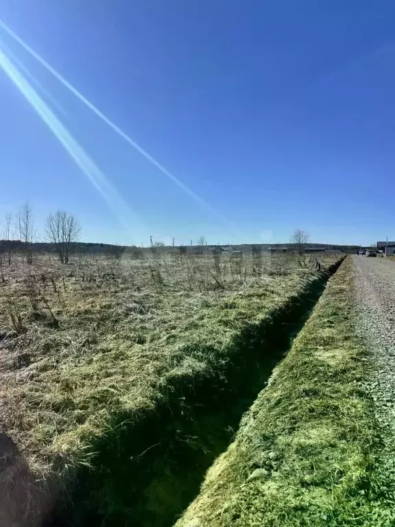 Участок в Ленинградская область, Ломоносовский район, Оржицкое с/пос, ... - Фото 0