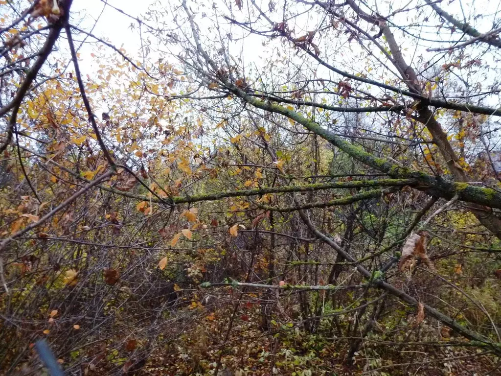 Участок в Московская область, Подольск городской округ, д. Потапово  ... - Фото 1