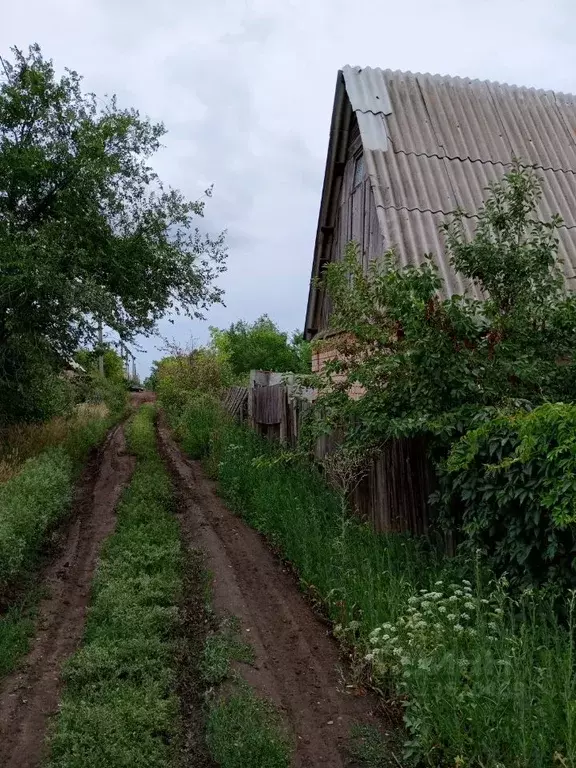 Участок в Оренбургская область, Оренбургский район, Сулак СНТ ул. ... - Фото 0