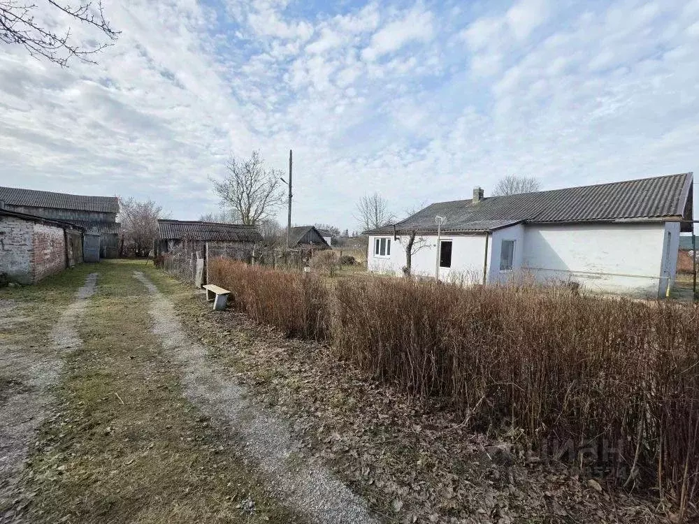 Участок в Калининградская область, Гурьевский муниципальный округ, ... - Фото 1