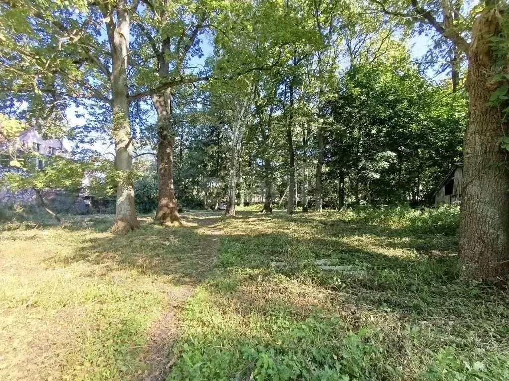 Участок в Калининградская область, Калининград Александра ... - Фото 1