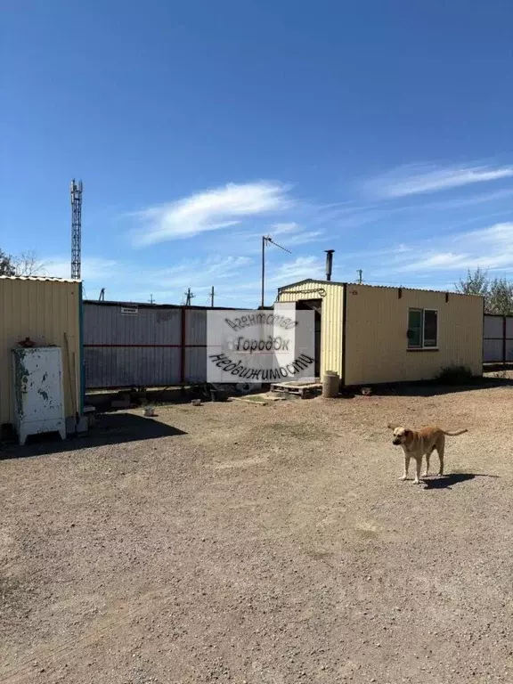 Помещение свободного назначения в Крым, Сакский район, с. Лесновка ул. ... - Фото 1