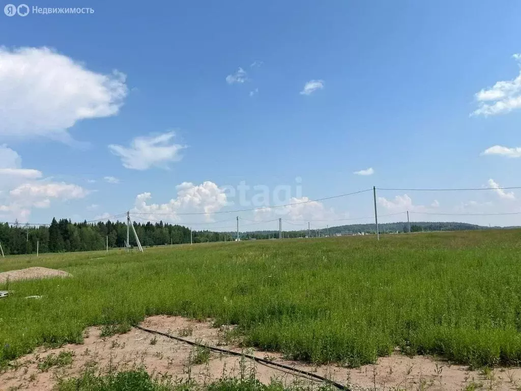 Участок в Пермский муниципальный округ, деревня Большакино (11.62 м) - Фото 1