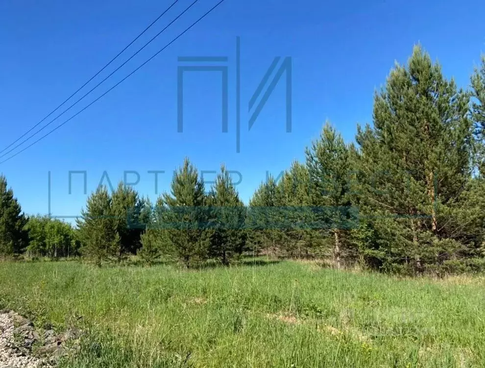 Участок в Свердловская область, Ревда муниципальный округ, с. ... - Фото 1