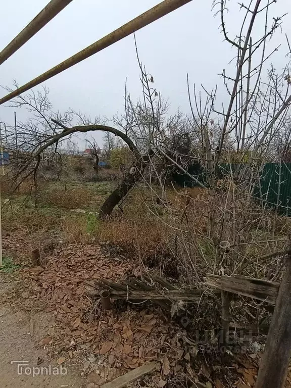 Участок в Астраханская область, Астрахань ул. 2-я Тихореченская (8.5 ... - Фото 2