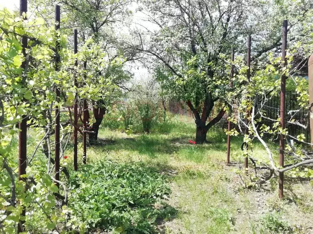 Участок в Ростовская область, Новочеркасск Харьковское ш., 40 (6.0 ... - Фото 0
