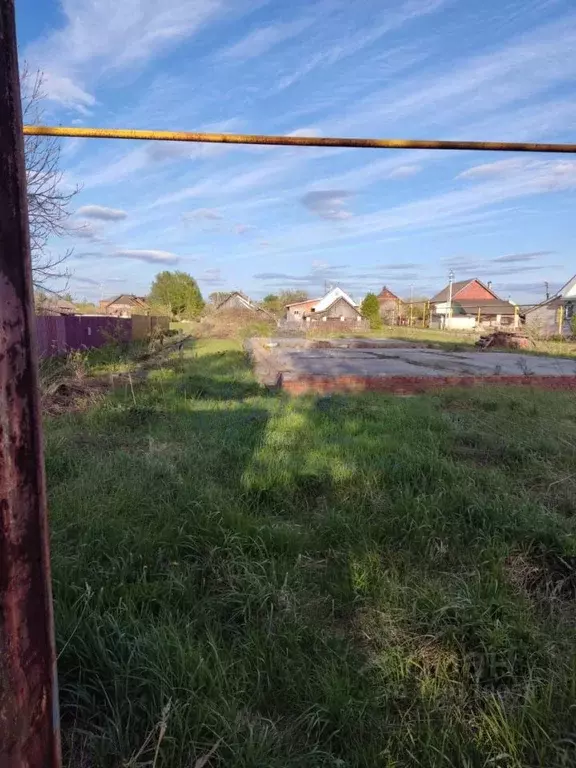Участок в Нижегородская область, Бор городской округ, д. Каликино ул. ... - Фото 0