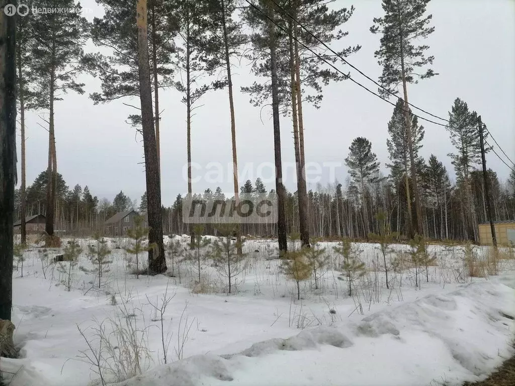 Участок в Иркутский муниципальный округ, посёлок Плишкино (10 м) - Фото 0