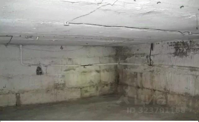 Помещение свободного назначения в Новосибирская область, Новосибирск ... - Фото 1