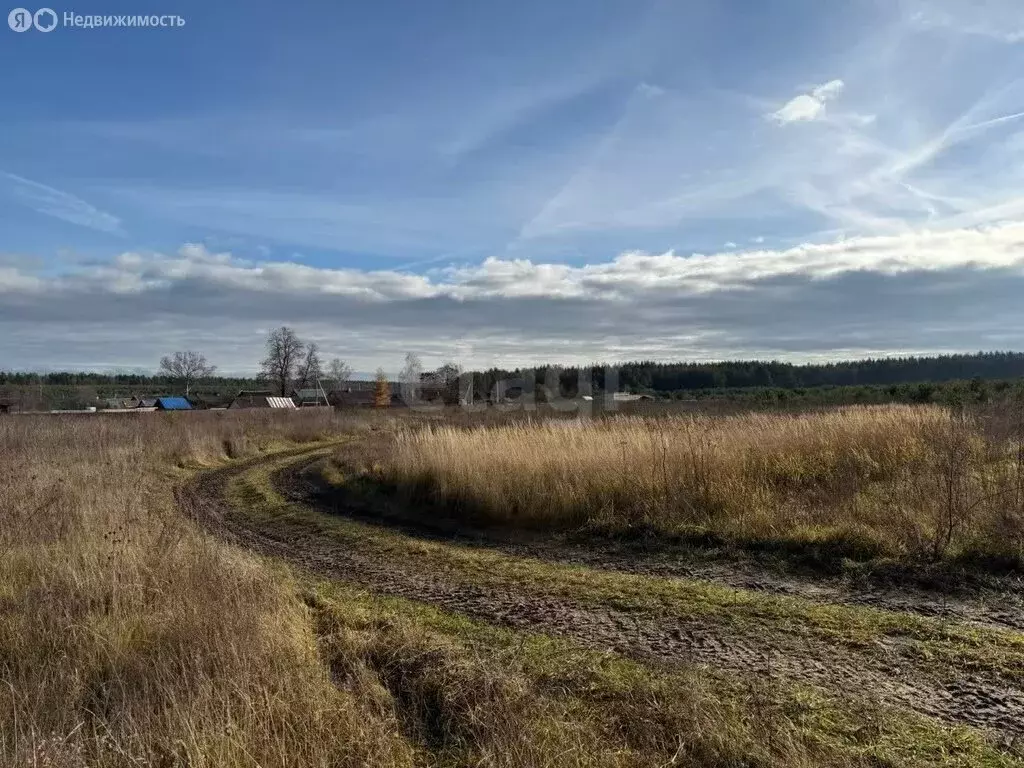 Участок в муниципальное образование Новосельское, деревня Черноситово ... - Фото 1