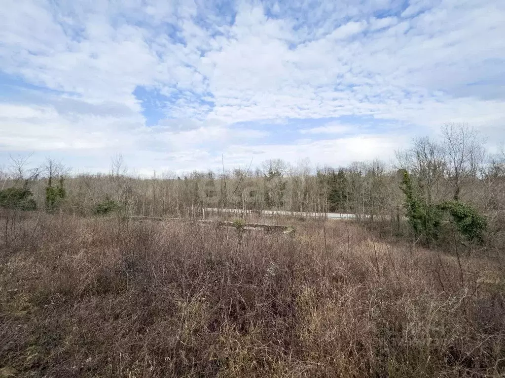 Участок в Краснодарский край, Геленджик городской округ, с. ... - Фото 1