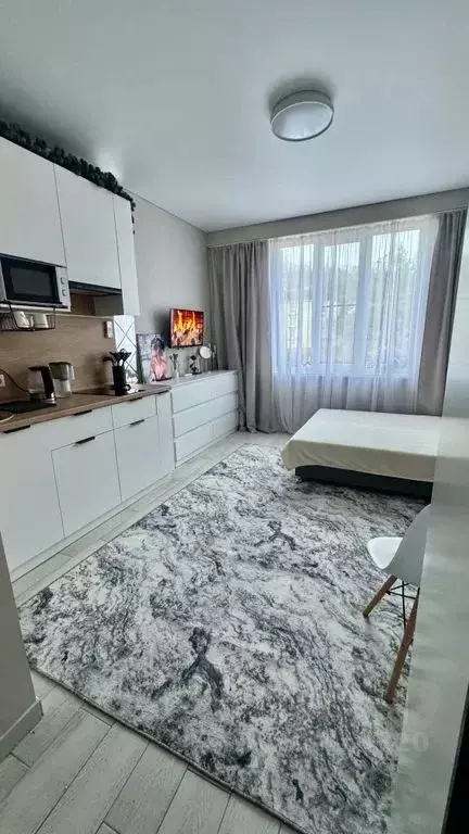 Студия Краснодарский край, Сочи ул. Яна Фабрициуса, 66/2 (25.0 м) - Фото 1