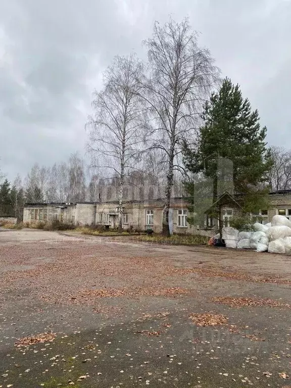 Производственное помещение в Нижегородская область, Кстово ул. ... - Фото 0