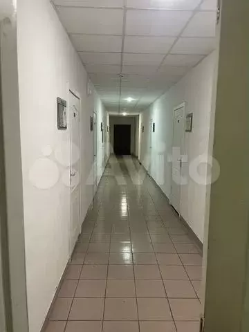 Офис, 23.4 м - Фото 1