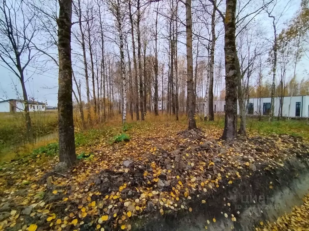 Участок в Санкт-Петербург, Санкт-Петербург, Павловск Павлов Скай кп, ... - Фото 1