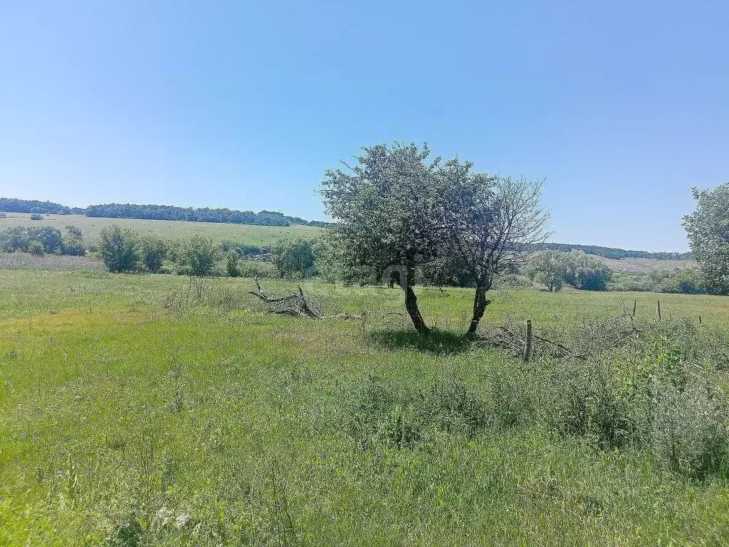 Участок в Белгородская область, Валуйский городской округ, с. Борисово ... - Фото 0