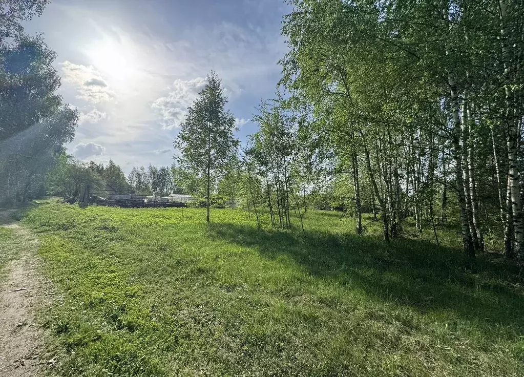 Участок в Московская область, Орехово-Зуевский городской округ, д. ... - Фото 1