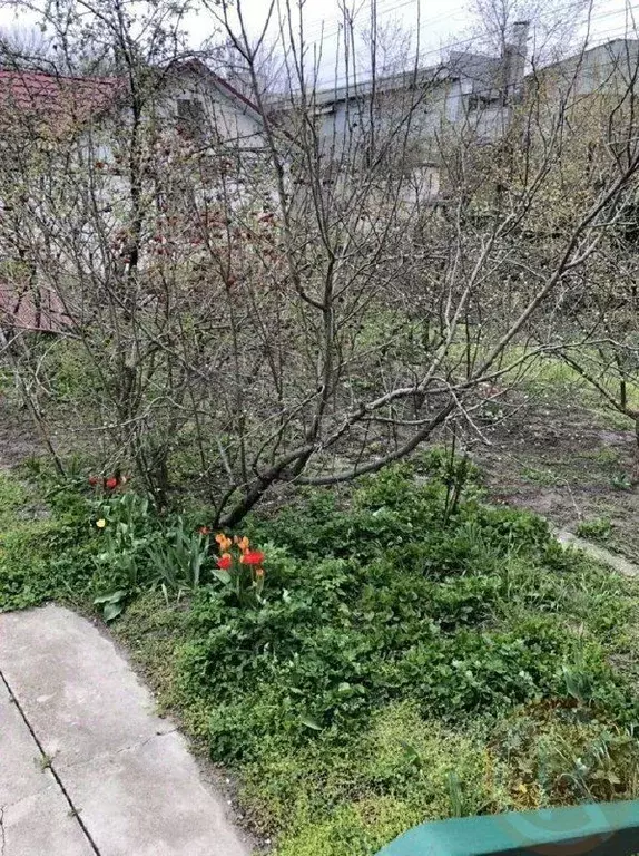 Дом в Крым, Симферополь ул. Дачная, 12 (80 м) - Фото 2