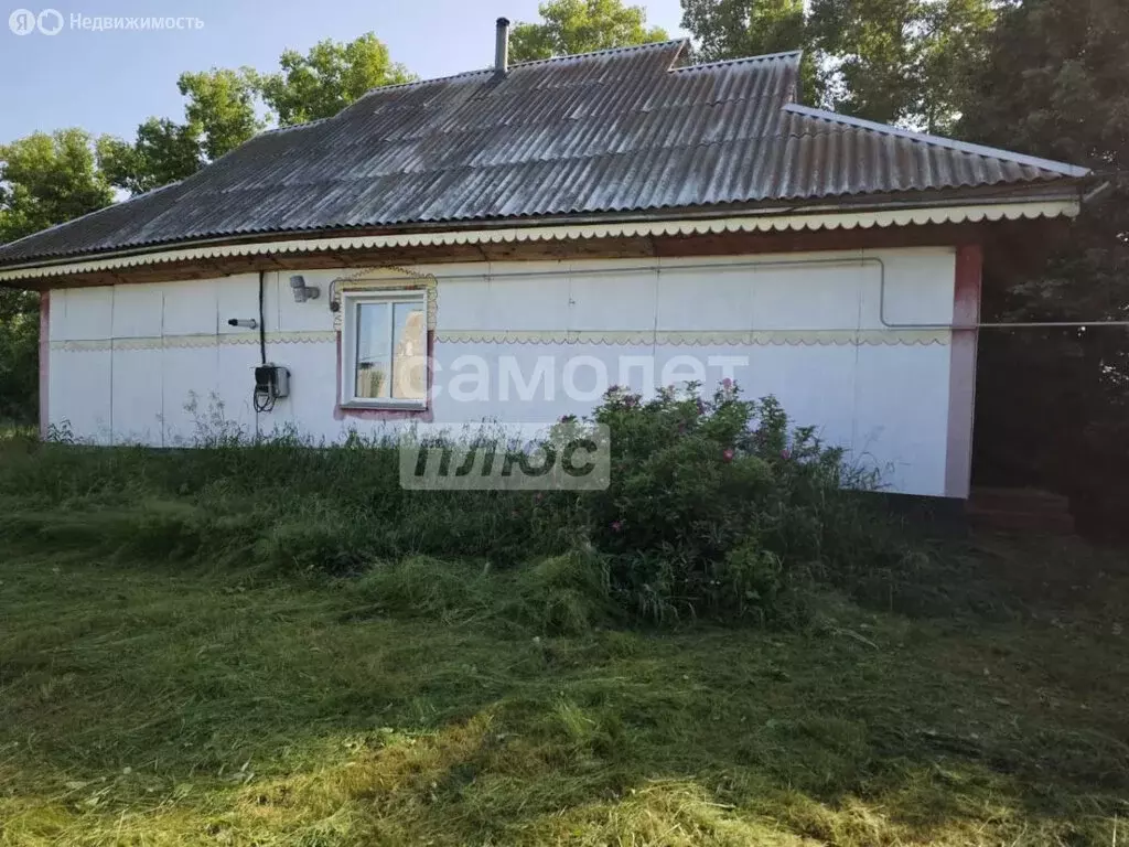 Дом в Зональное, улица Надежды, 21 (72 м) - Фото 0