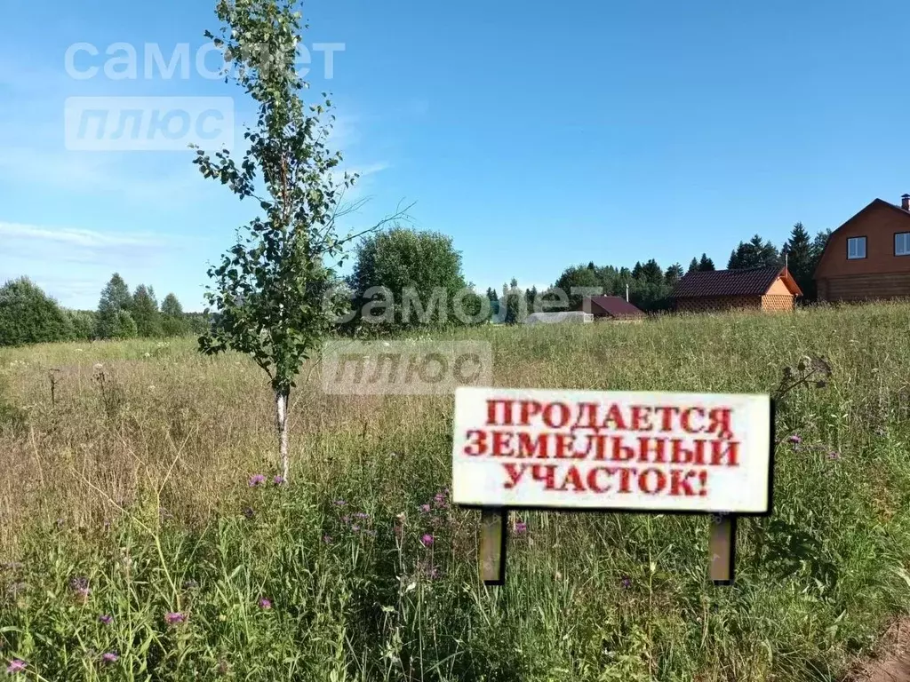 Участок в Вологодская область, Дикая ж/д_ст  (15.91 сот.) - Фото 0