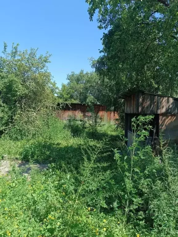 Участок в Хакасия, Абакан просп. Ленина, 86 (4.8 сот.) - Фото 1