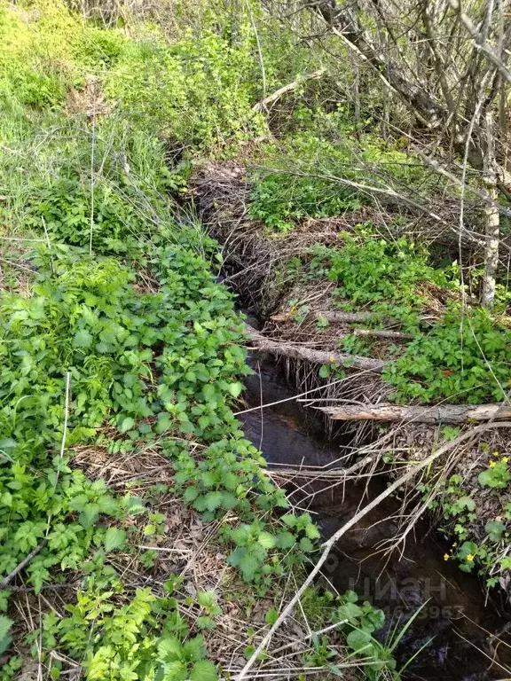 Участок в Пермский край, Ильинский муниципальный округ  (9.0 сот.) - Фото 2