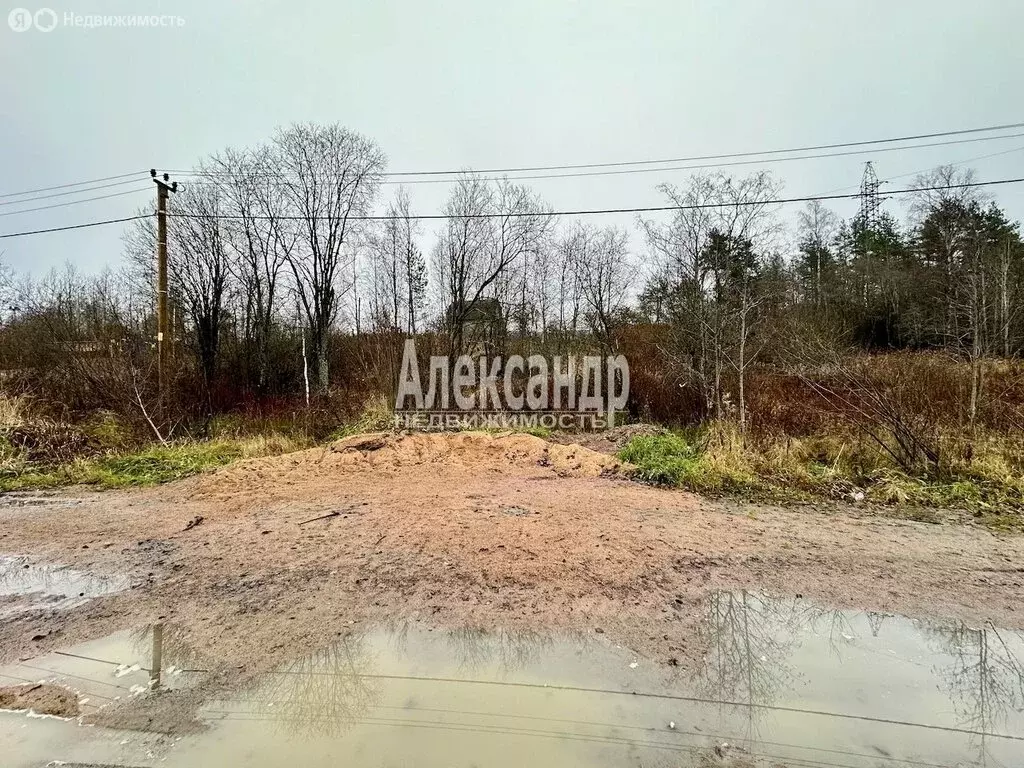 Участок в Приозерский район, городской посёлок Кузнечное (10 м) - Фото 0