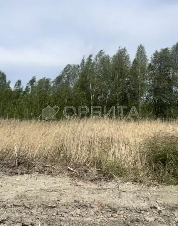 Участок в Тюменская область, Тюмень Светлячок садовое товарищество, ... - Фото 1