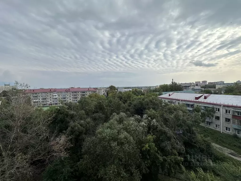 Студия Курганская область, Курган Половинская ул., 8Б (14.3 м) - Фото 2