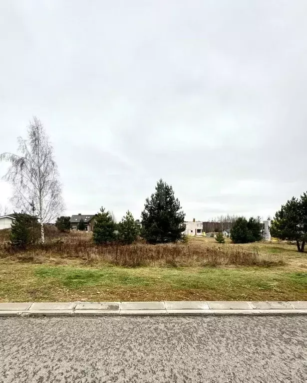 Участок в Владимирская область, Ковровский район, Доброград ... - Фото 2