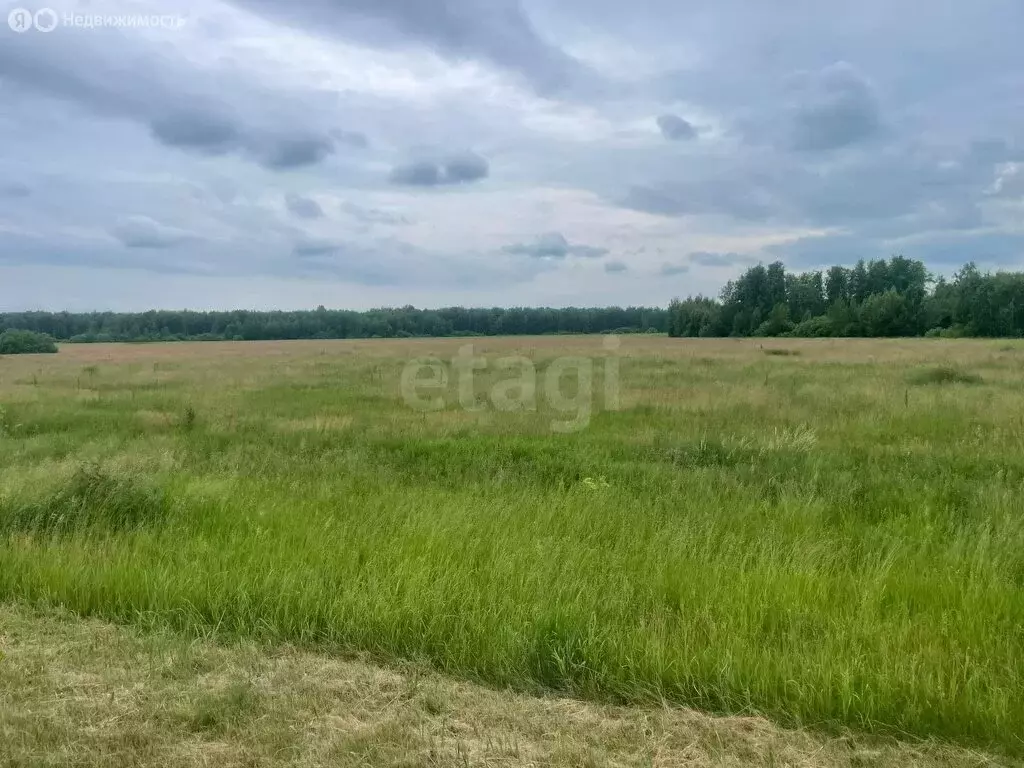 Участок в Тюменская область, посёлок городского типа Голышманово ... - Фото 2