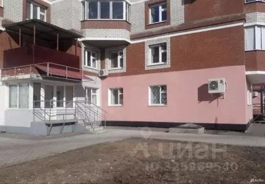 2-к кв. Амурская область, Благовещенский район, с. Чигири ул. ... - Фото 1