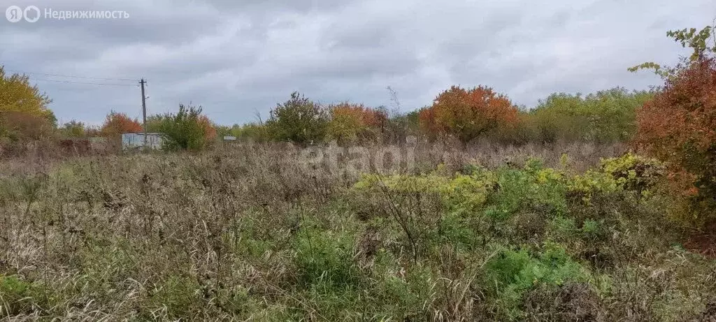 участок в таганрог, садовое товарищество дружба, 4-я аллея (6 м) - Фото 1