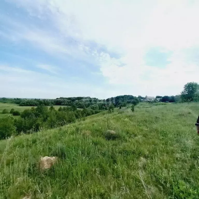 Участок в Калужская область, Калуга городской округ, с. Росва ул. ... - Фото 2