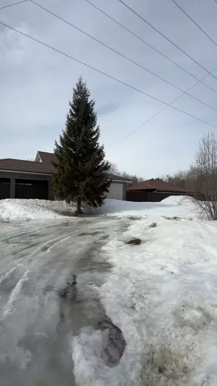 Участок в Алтайский край, Барнаул городской округ, Поселок Борзовая ... - Фото 2