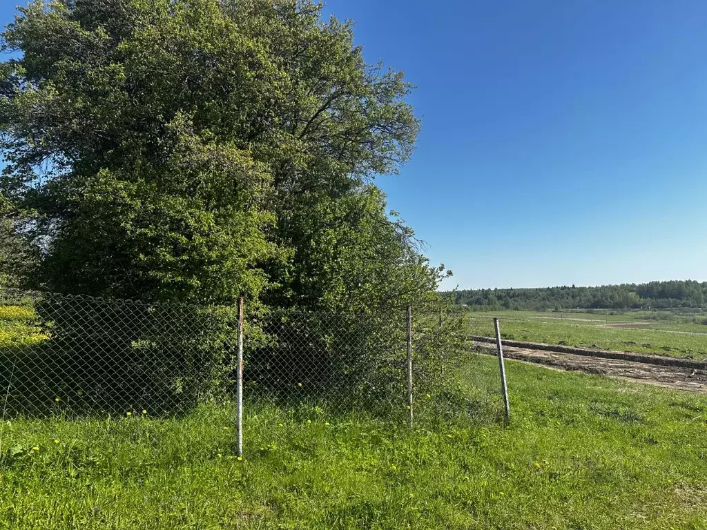 Участок в Московская область, Дмитровский городской округ, д. Удино  ... - Фото 1