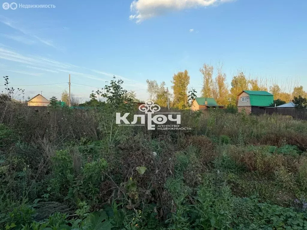 Участок в Наумовский сельсовет, СНТ Лесное (9 м) - Фото 1