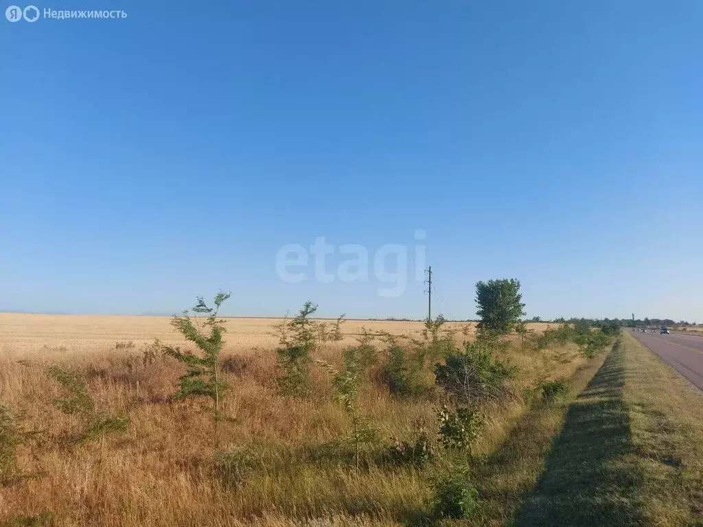 Участок в Гвардейское сельское поселение, село Красная Зорька (24 м) - Фото 1