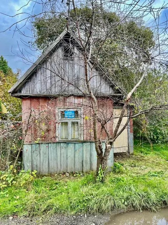 Участок в Калининградская область, Калининград Водник-1 СТ, проезд ... - Фото 2